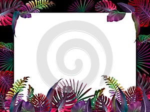 Funny and modern summer tropical background with exotic palm leaves