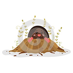 Funny mole digging out of a clay. Cute animal cartoon character.