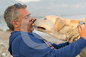 Funny moment of a Labrador dog eating from his owner mouth.