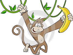 Funny monkey with banana.