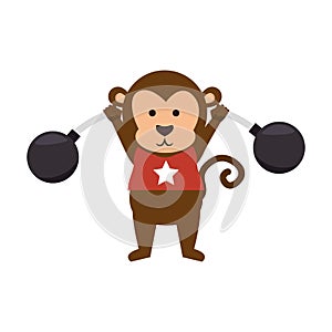funny monkey circus icon