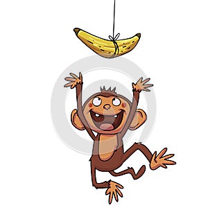 Funny Monkey trying to cath banana