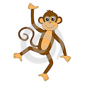 Funny monkey on white background