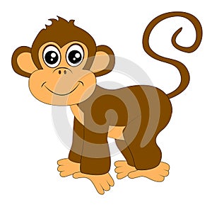 Funny monkey on white background