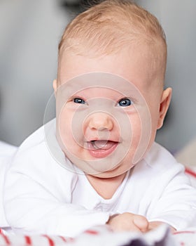 Funny newborn baby portrait