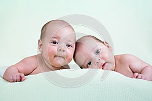 Funny newborn baby twins lying on stomach