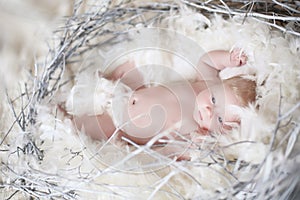 Funny newborn baby with white feather in nest. Portrait of adora