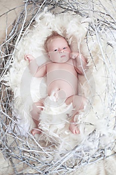 Funny newborn baby with white feather in nest. Portrait of adora