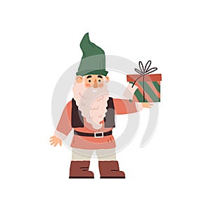 Funny old bearded gnome holding gift box, flat vector illustration isolated.