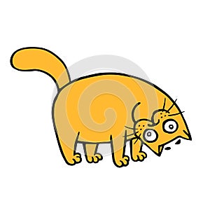 Funny orange cat playing and tilted. Vector illustration