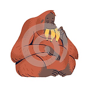 Funny orangutan eating bananas. Happy furry monkey, great ape with red fur relax. Cute primate with fruit rests