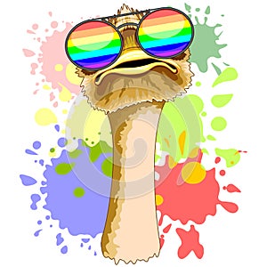 Funny Ostrich with Rainbow Sunglasses