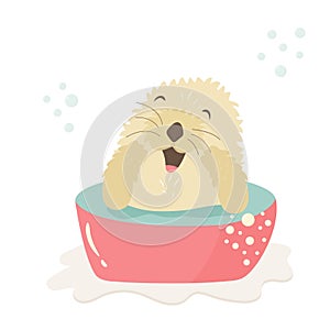 Funny otter taking shower sitting in a wash-basin