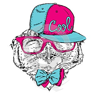 Funny owl glasses, tie and cap. Vector illustration for a card or poster.