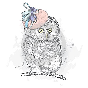 Funny owl in the ladies` hat. Fashion & Style. Vintage.