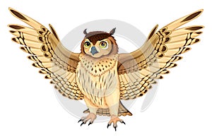 Funny owl with opened wings