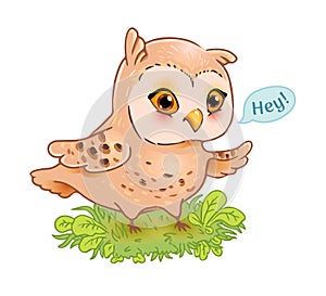Funny owl print, cute bird isolated
