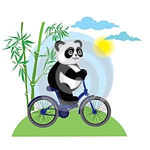 Funny panda bear on bike.