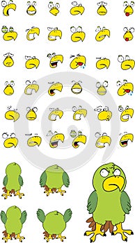 Funny parakeet cartoon expressions set