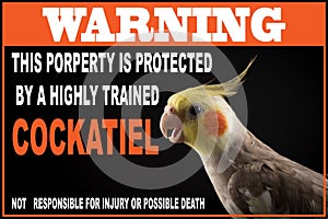 Funny Parrot memes, dangerous Pets warning photo