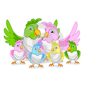 Funny parrots with bright feathers