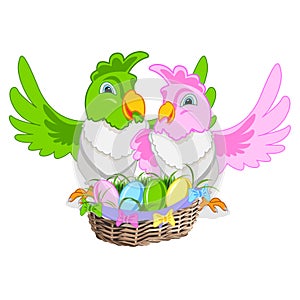 Funny parrots with bright feathers