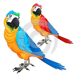 Funny parrots in two different colors
