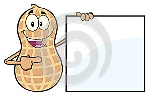 Funny Peanut Cartoon Mascot Character Showing A Blank Sign