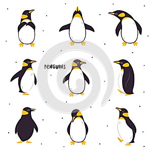 Funny Penguin as Aquatic Flightless Bird with Flippers Waddling and Standing Vector Set