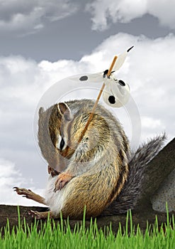 Funny pet chipmunk with luggage, emigration concept