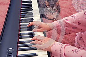 Funny pet looks at the hands of a woman playing a digital piano