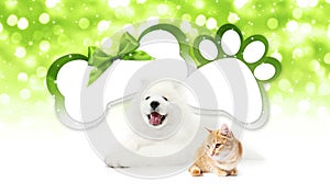 Funny pets cat and dog together with bone and paw imprint shape