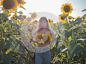 Funny photo of beautiful woman with long hair smiling and holding yellow sunflower at sunset. Fun farmer. Summer concept