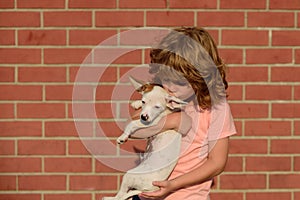 Funny photo of happy child hugging beautiful puppy dog on wall. Kid with pets.