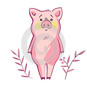 Funny pig. Isolated on white. Cute vector illustration. Symbol of the year in the Chinese calendar.