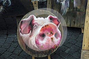 Funny piggie , painted on some wooden shield photo