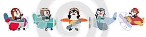 Funny pilot penguin flying air plane set