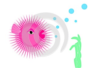 Funny pink blowfish underwater cartoon