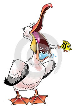 Funny pink Pelican beak singing actor paws