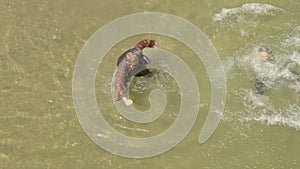 Funny pirates fighting on a shallow river