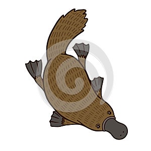 Funny platypus with long beak on isolated background