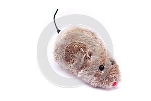Funny plush mice. Toys for cats. photo