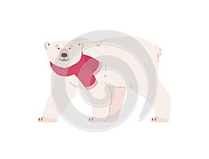 Funny polar bear walking in red scarf, winter holidays concept - flat vector illustration isolated on white background.