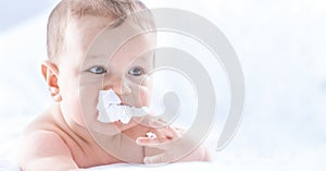 Funny portrait of cute toddler boy lying on bed and trying to eat a paper napkin. Newborn child in bedroom. Baby lies on his tummy