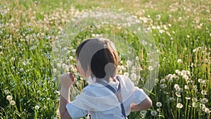 funny portrait of a five year old boy stands on a field of dandelions and catches soap bubbles from a toy gun at sunset