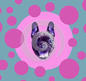 Funny poster. French bulldog in the sphere. Dog is symbol of Chinese New Year.