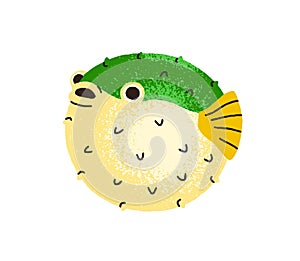 Funny puffer fish. Cute tropical exotic pufferfish, spiked blowfish, round spiky balloonfish. Sea marine water animal of