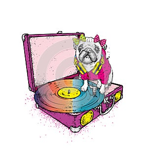 Funny pug with a bow sits on the turntable for vinyl records. Beautiful thoroughbred dog. Vector illustration. Cute puppy.