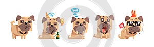 Funny Pug Dog Character with Cute Snout Vector Set photo