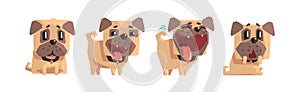 Funny Pug Dog Character with Cute Snout Vector Set photo